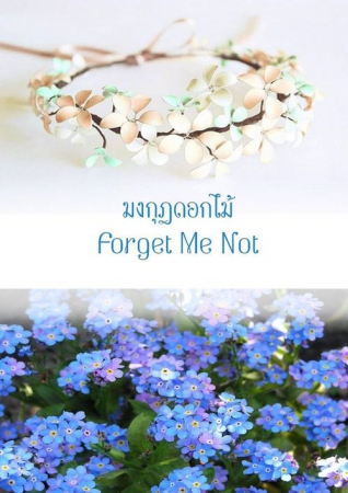 มงกุฎดอกไม้ Forget Me Not