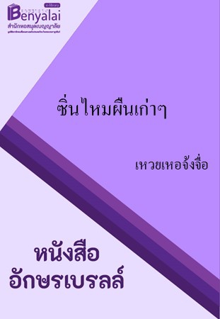 ซิ่นไหมผืนเก่าๆ ซิ่นไหมผืนเก่าๆ