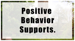 Positive Behavior Supports.