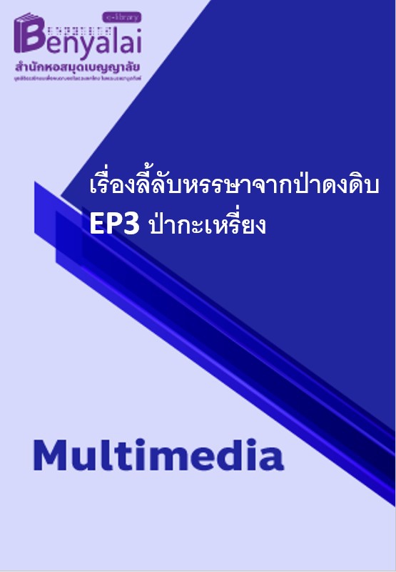 ปกวีดิโอ