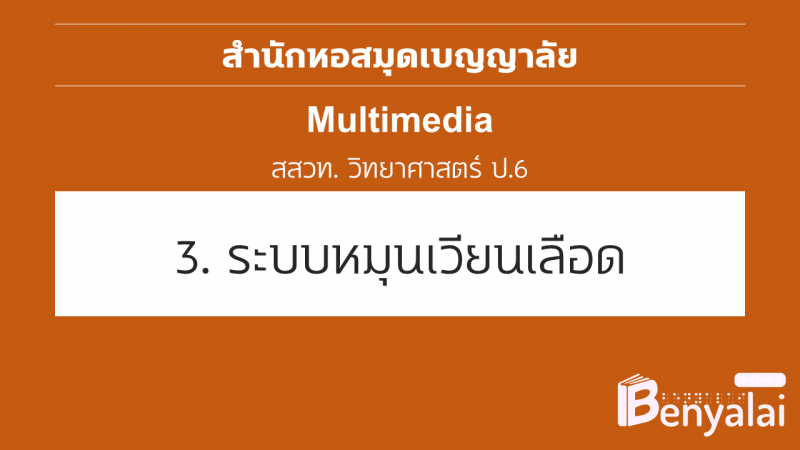 ปกวีดิโอ