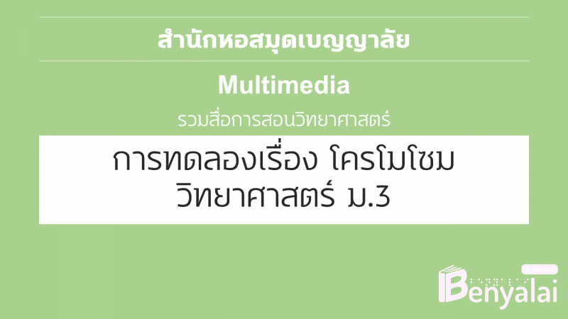 ปกวีดิโอ