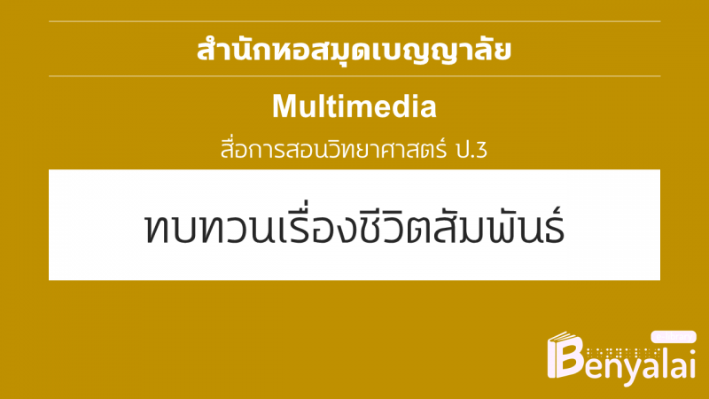 ปกวีดิโอ